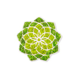 Wallity Daisy Accesorio decorativo de pared Verde y Blanco
